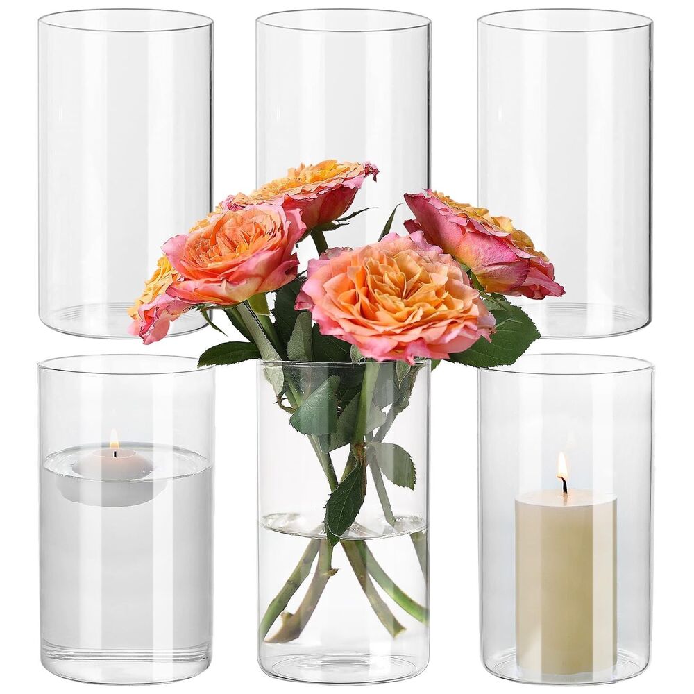 SUPMIND 6 Pcs Clear Glass Cylinder Vases